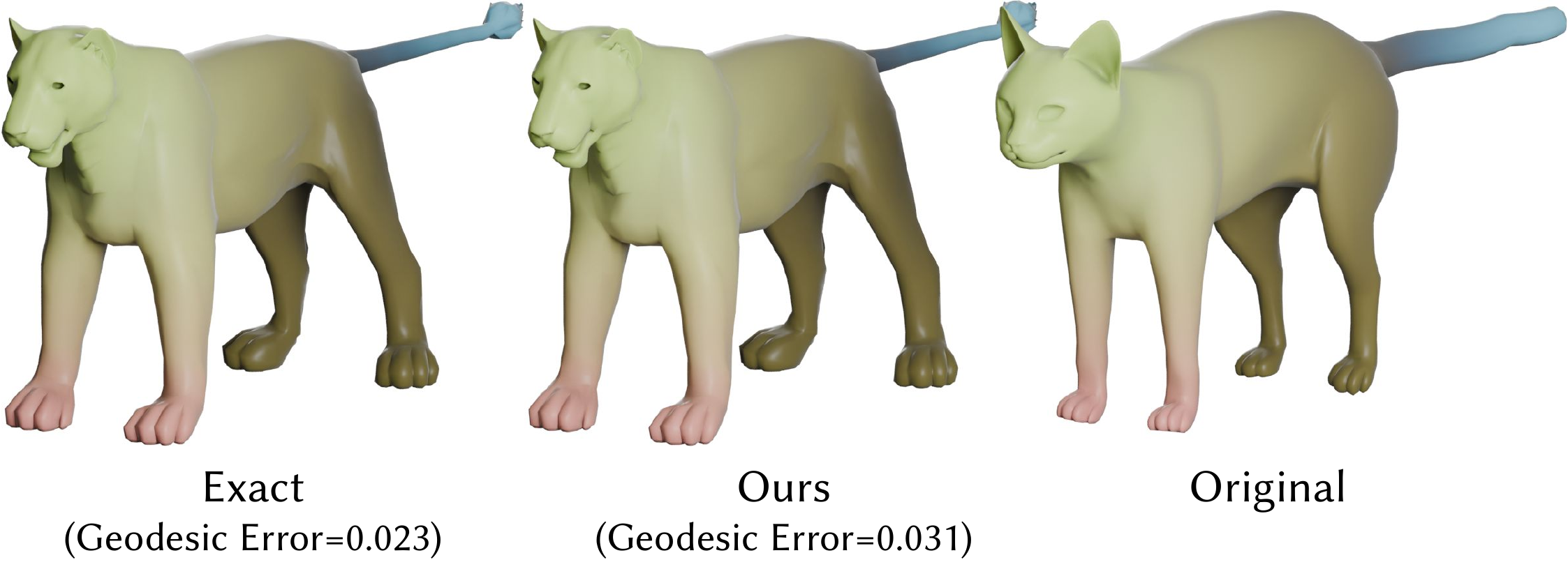 Functional map correspondence between cat and lion